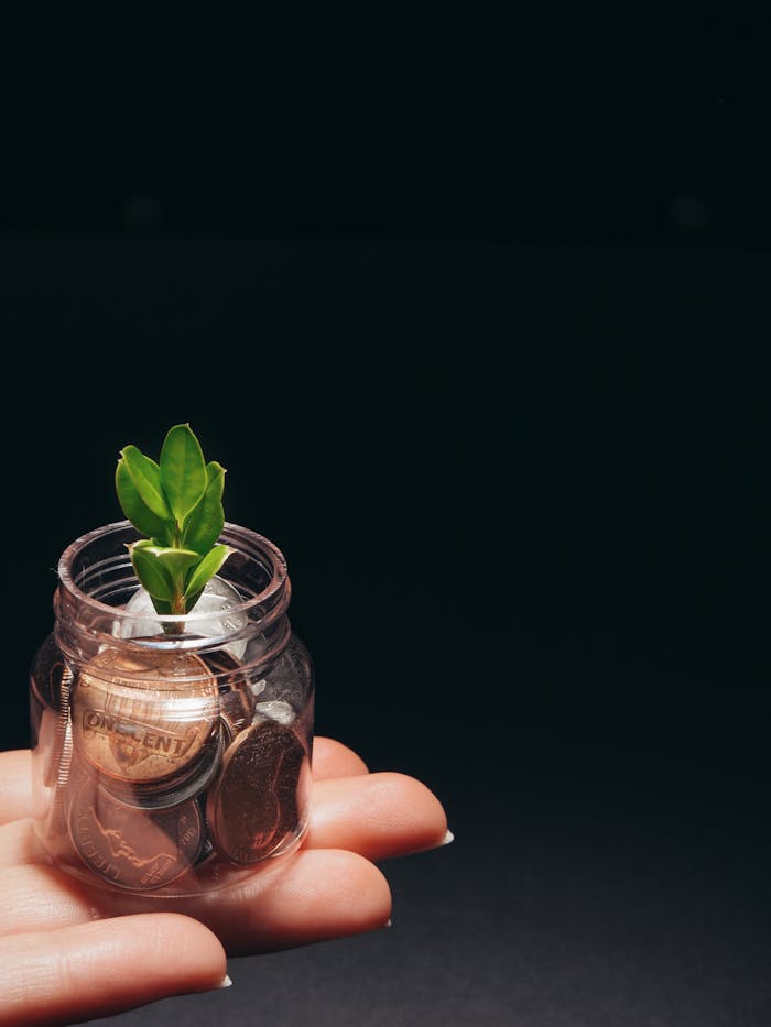 about-01 A small plant growing in a glass jar filled with coins, represents financial growth and sustainability.